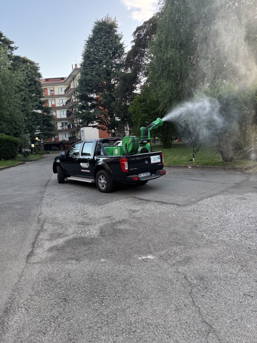 DISINFESTAZIONE TERRITORIO COMUNALE